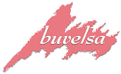 Asesores BUVELSA S.L